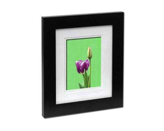 Tulip Colorful Plants Art Wood Framed Print Wall Decor Gifts
