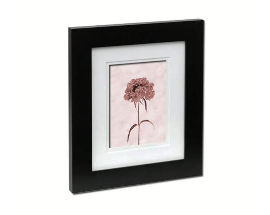 Sweet William Sepia Plants Art Wood Framed Print Wall Decor Gifts