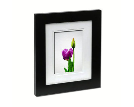 Tulip Sketch Plants Art Wood Framed Print Wall Decor Gifts
