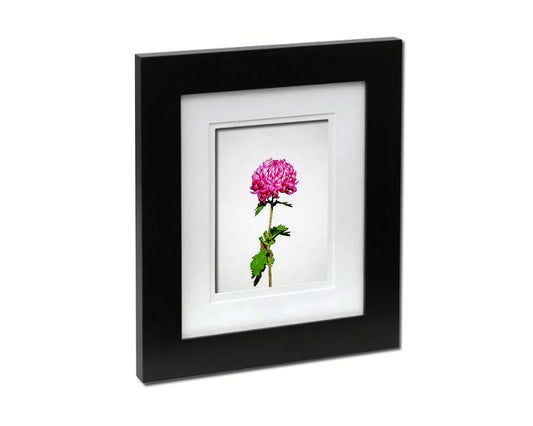 Pink Chrysanthemum Sketch Plants Art Wood Framed Print Wall Decor Gifts