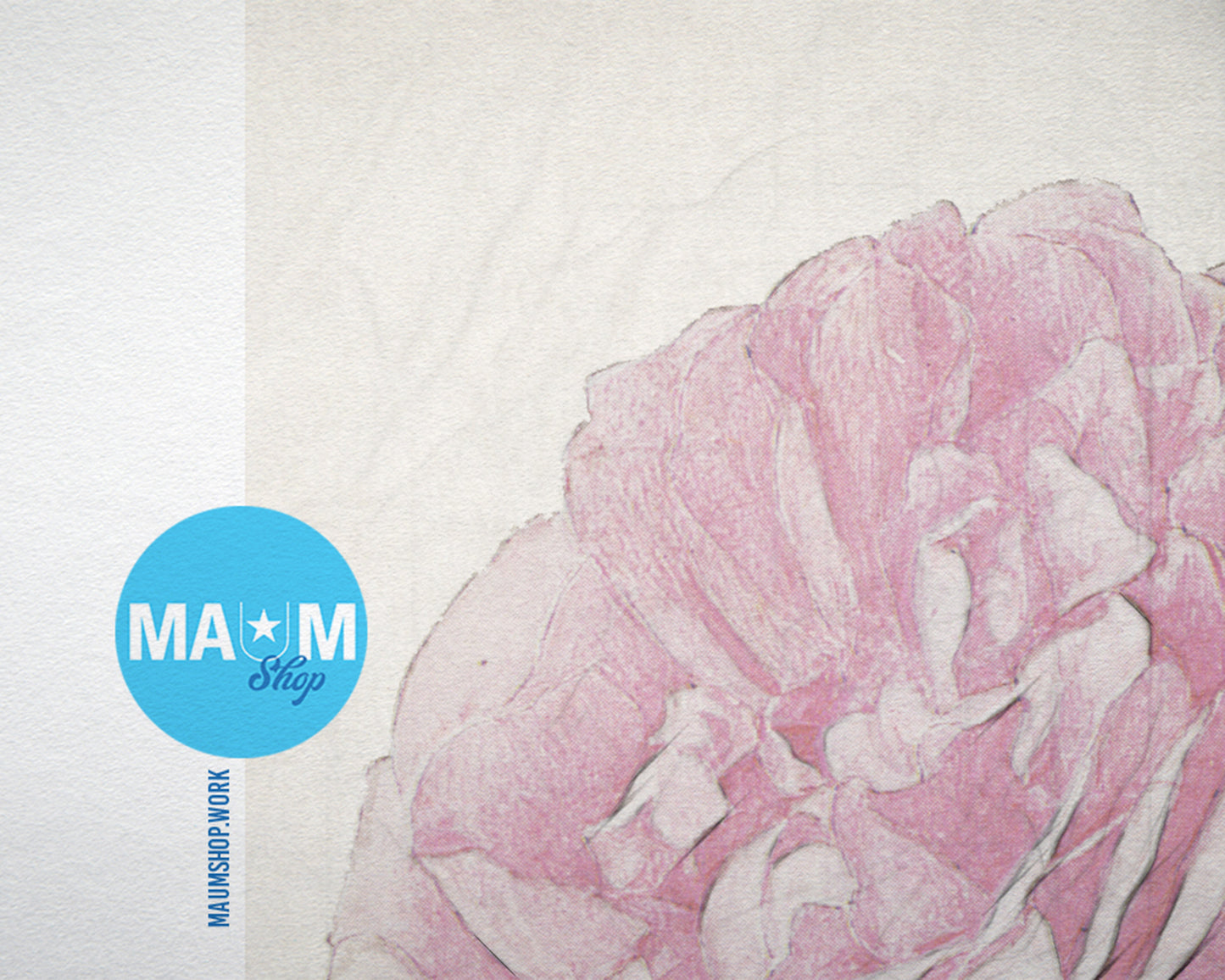 Centifolia Bullata Vintage Botanical Rose Flower Art Wood Framed Print Wall Decor Gifts