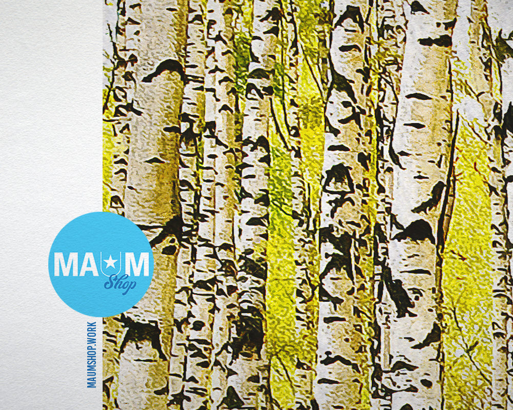 Birch Grove Trees Autumn Landscape Painting Print Art Frame Home Wall Decor Gifts