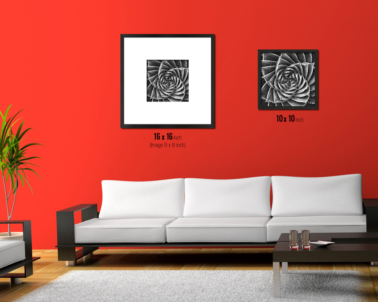 Spiral Leaves Plants B &W Succulent Leaves Spiral Plant Wood Framed Print Decor Wall Art Gifts