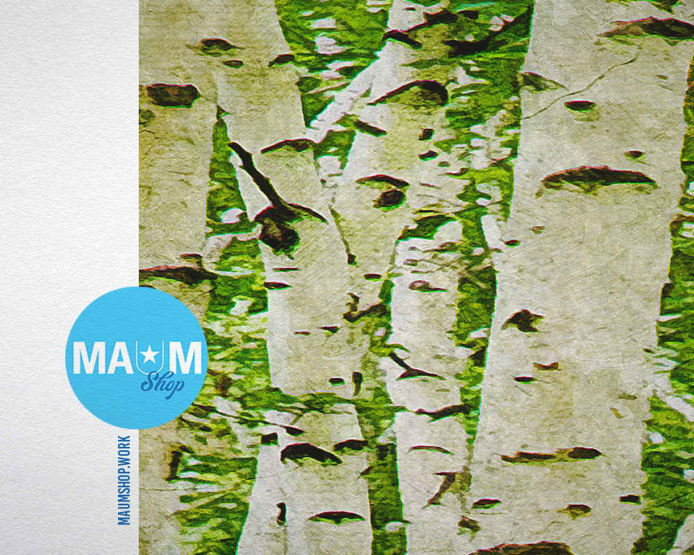 Birch Forest in Mongolia, China Landscape Painting Print Art Frame Home Wall Decor Gifts