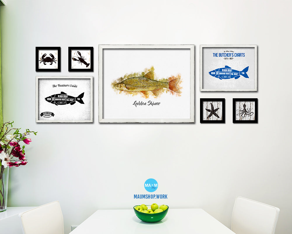 Golden Shiner Fish Framed Prints Modern Restaurant Sushi Bar Watercolor Wall Art Decor
