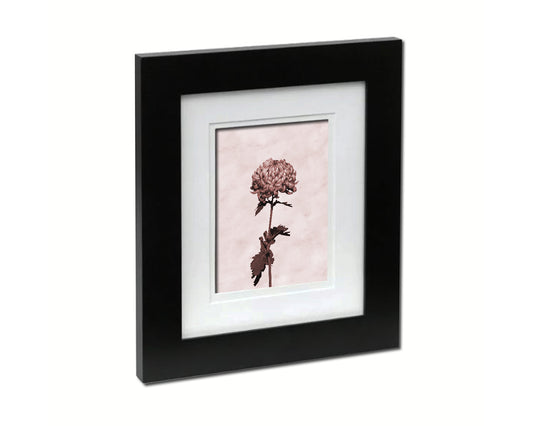Pink Chrysanthemum Sepia Plants Art Wood Framed Print Wall Decor Gifts