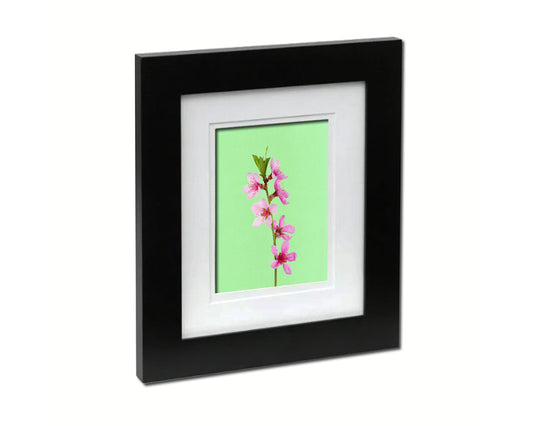Cherry Blossoms Bloom Colorful Plants Art Wood Framed Print Wall Decor Gifts
