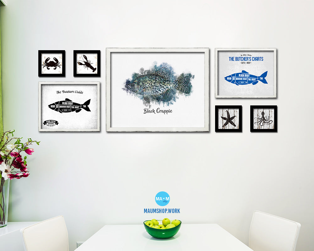 Black Crappie Fish Framed Prints Modern Restaurant Sushi Bar Watercolor Wall Art Decor
