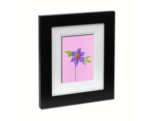 Clematis Colorful Plants Art Wood Framed Print Wall Decor Gifts
