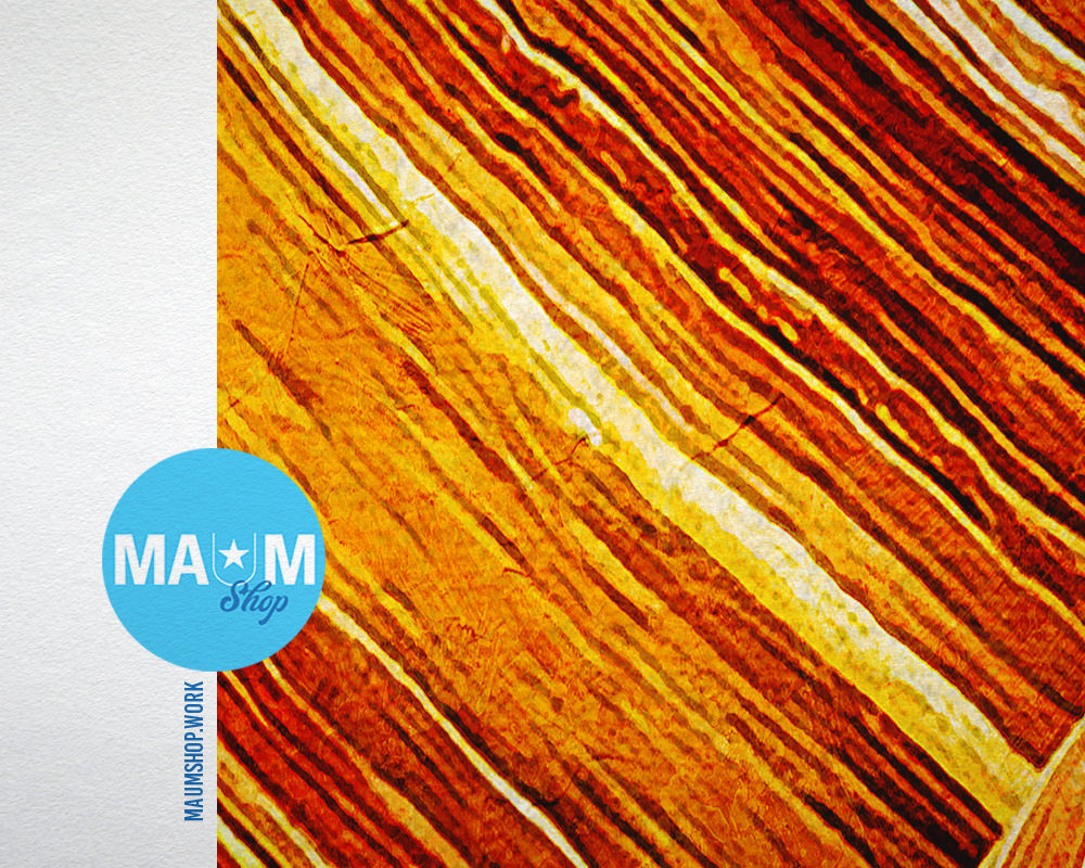 Antelope Northern Arizona Artwork Painting Print Art Frame Home Wall Decor Gifts