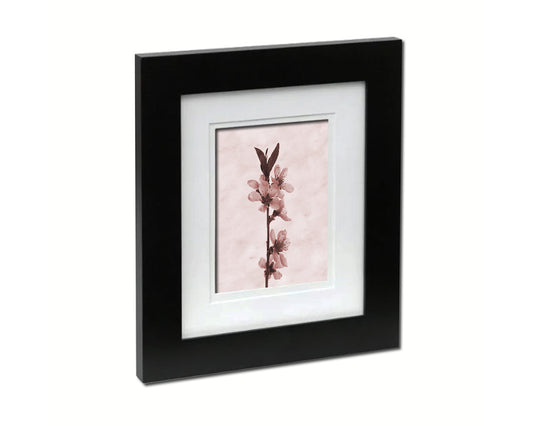 Flowering Cherry Sepia Plants Art Wood Framed Print Wall Decor Gifts