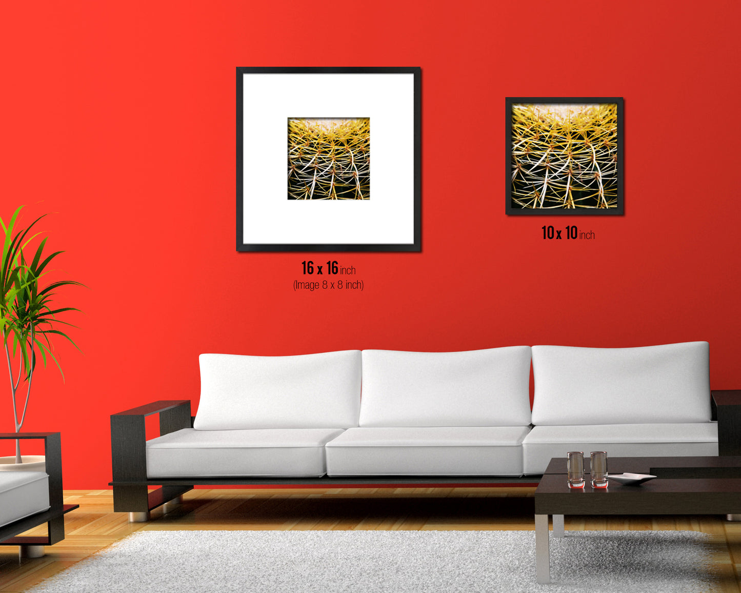 Golden Barrel Cactus Evergreen Succulent Leaves Spiral Plant Wood Framed Print Decor Wall Art Gifts