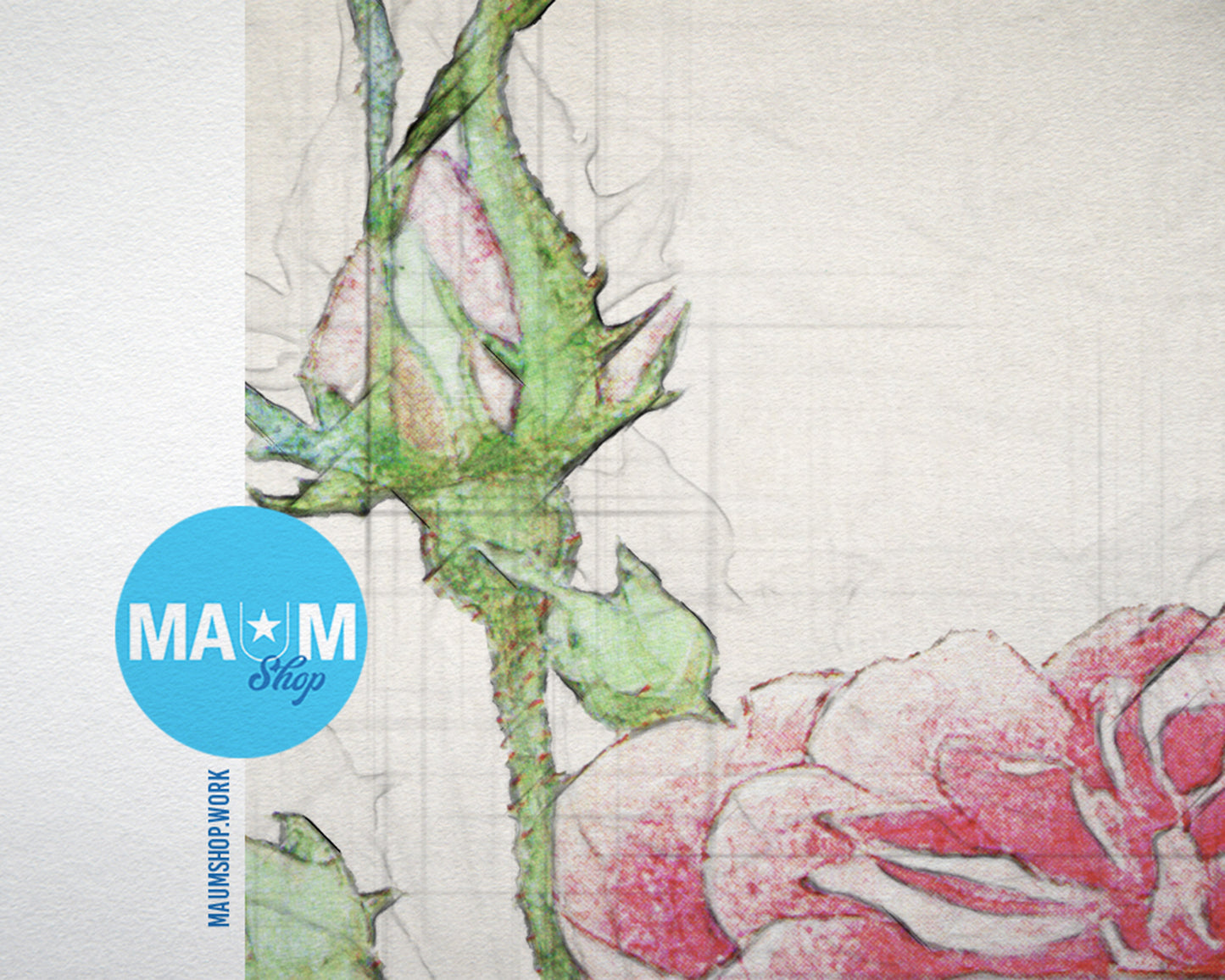 Centifolia Pomponia Vintage Botanical Rose Flower Art Wood Framed Print Wall Decor Gifts