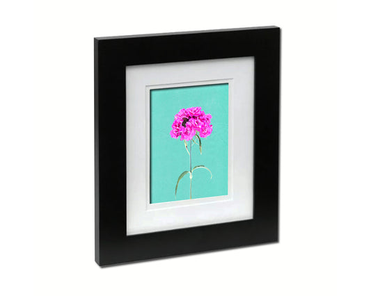 Sweet William Colorful Plants Art Wood Framed Print Wall Decor Gifts