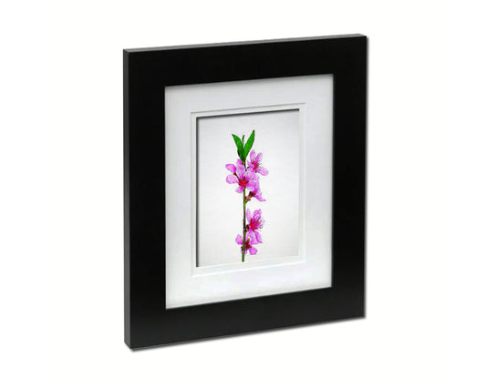 Flowering Cherry Sketch Plants Art Wood Framed Print Wall Decor Gifts