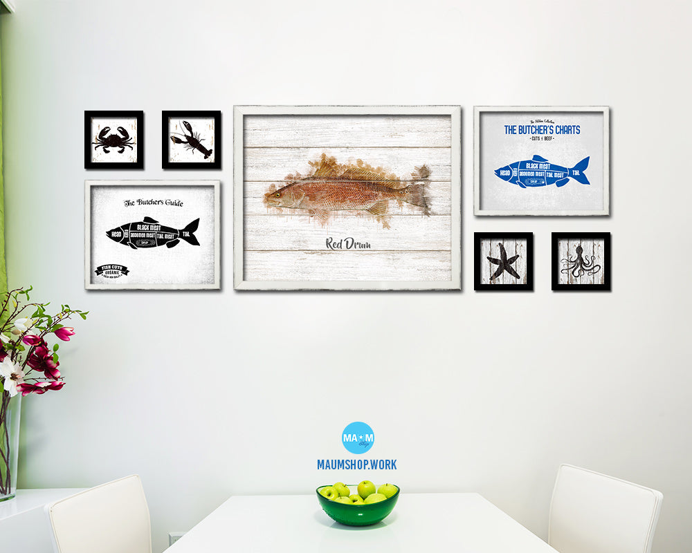 Red Drum Fish Framed Prints Modern Restaurant Sushi Bar Watercolor Wall Art Decor