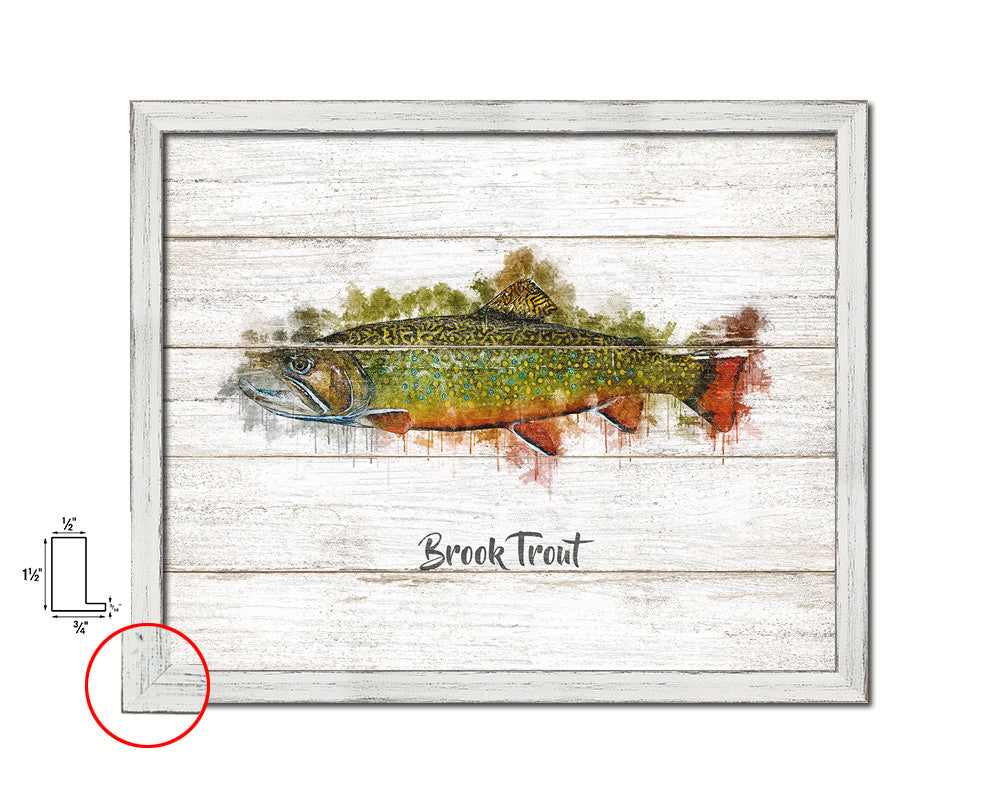 Brook Trout Fish Art White Wash Wood Frame Home Decor Wall Prints 