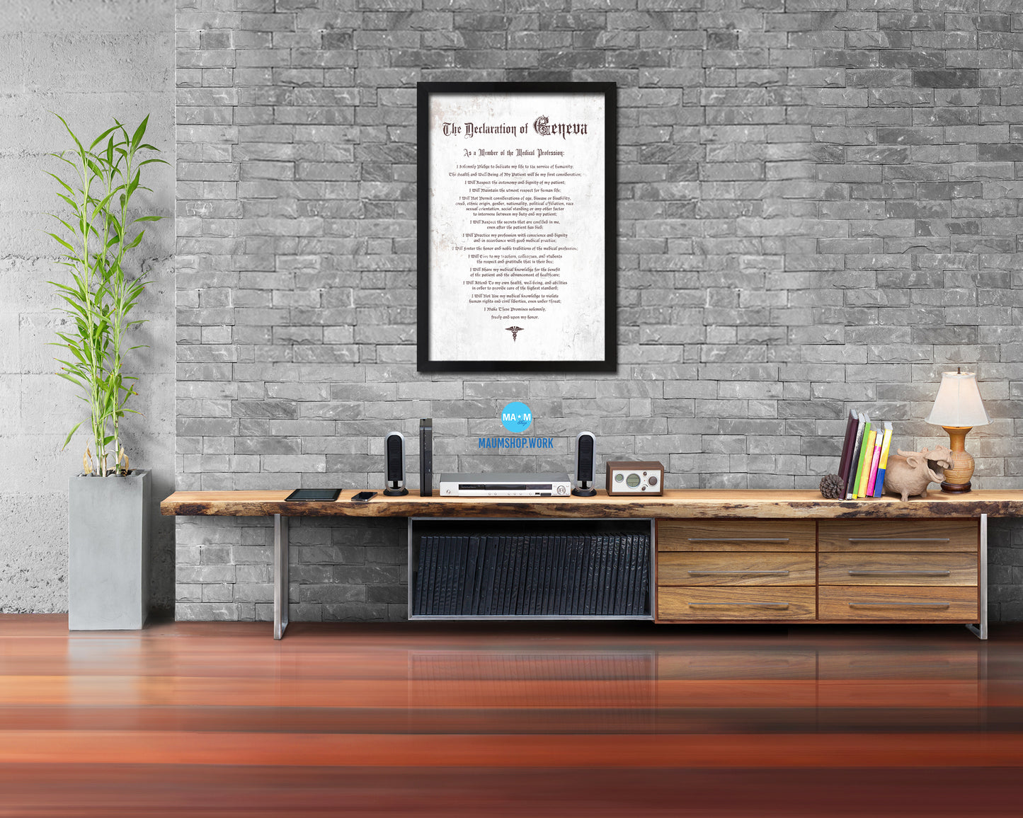 Geneva Oath Declarations Gifts for Medical Students Doctor Office Decor Wall Art, White