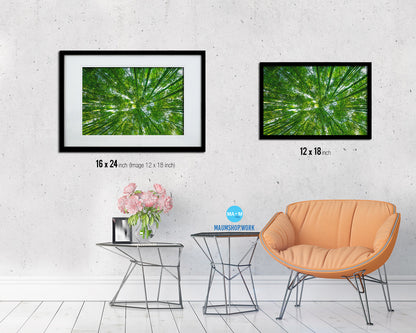 Forest Bamboo Landscape Painting Print Art Frame Home Wall Decor Gifts