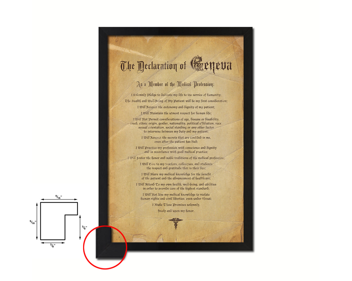 Geneva Oath Vintage Declarations Gifts Medical Students Doctor Office Decor Wall Art, Brown