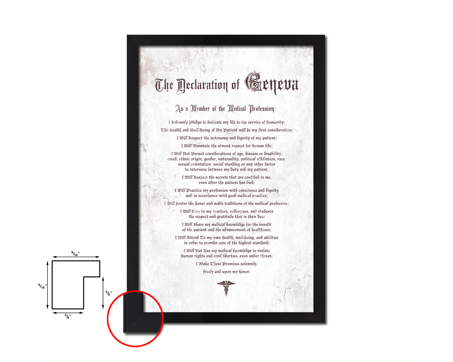 Geneva Oath Declarations Gifts for Medical Students Doctor Office Decor Wall Art, White