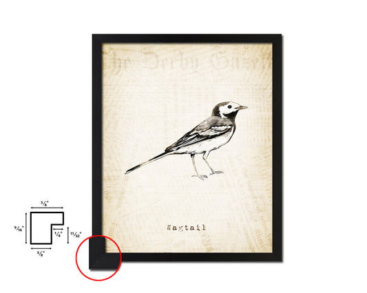 Wagtail Vintage Bird Fine Art Paper Prints Home Decor Wall Art Gifts