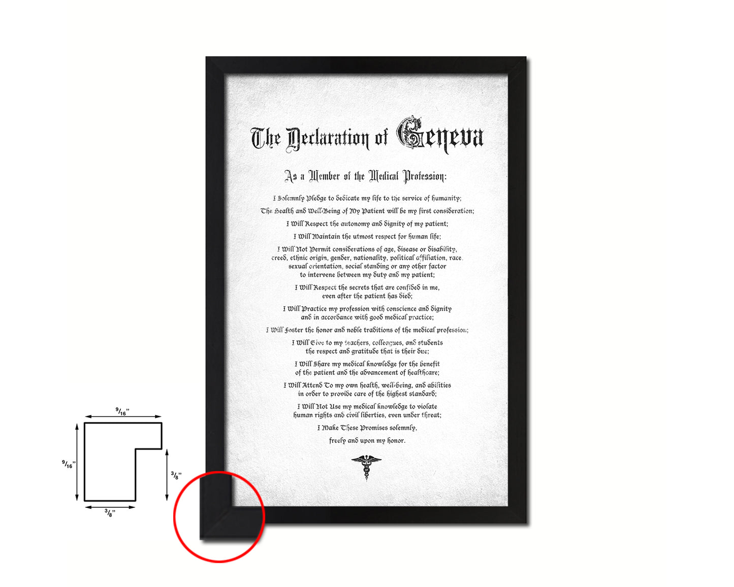 Geneva Oath Declarations Gifts for Medical Students Doctor Office Decor Wall Art, White