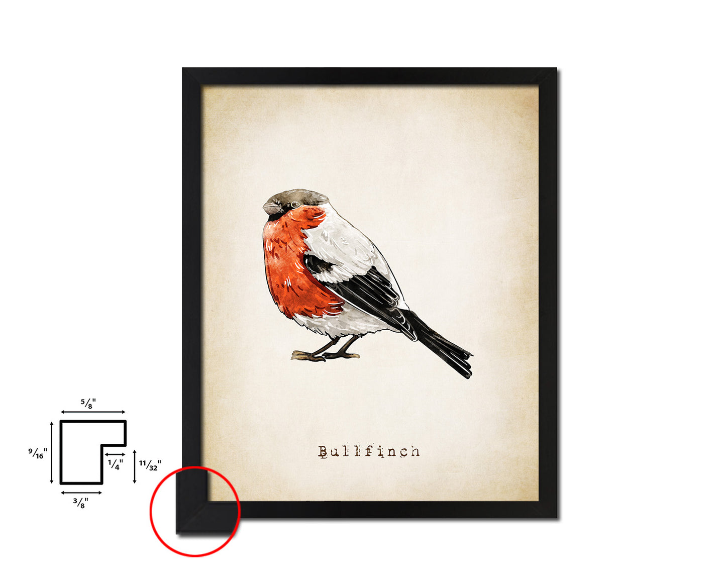 Bullfinch Vintage Bird Fine Art Paper Prints Home Decor Wall Art Gifts