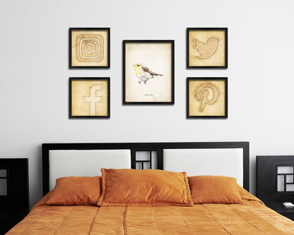Robin Vintage Bird Fine Art Paper Prints Home Decor Wall Art Gifts