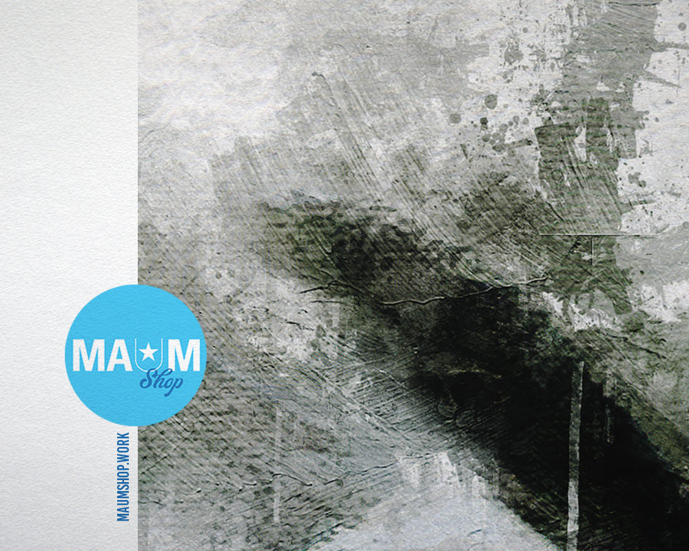 Llima Animal Painting Print Framed Art Home Wall Decor Gifts