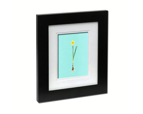 Narcissus Bulb Colorful Plants Art Wood Framed Print Wall Decor Gifts