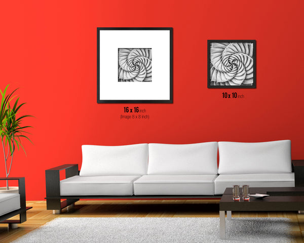 Aloe Succulent B &W Leaves Spiral Plant Wood Framed Print Decor Wall Art Gifts