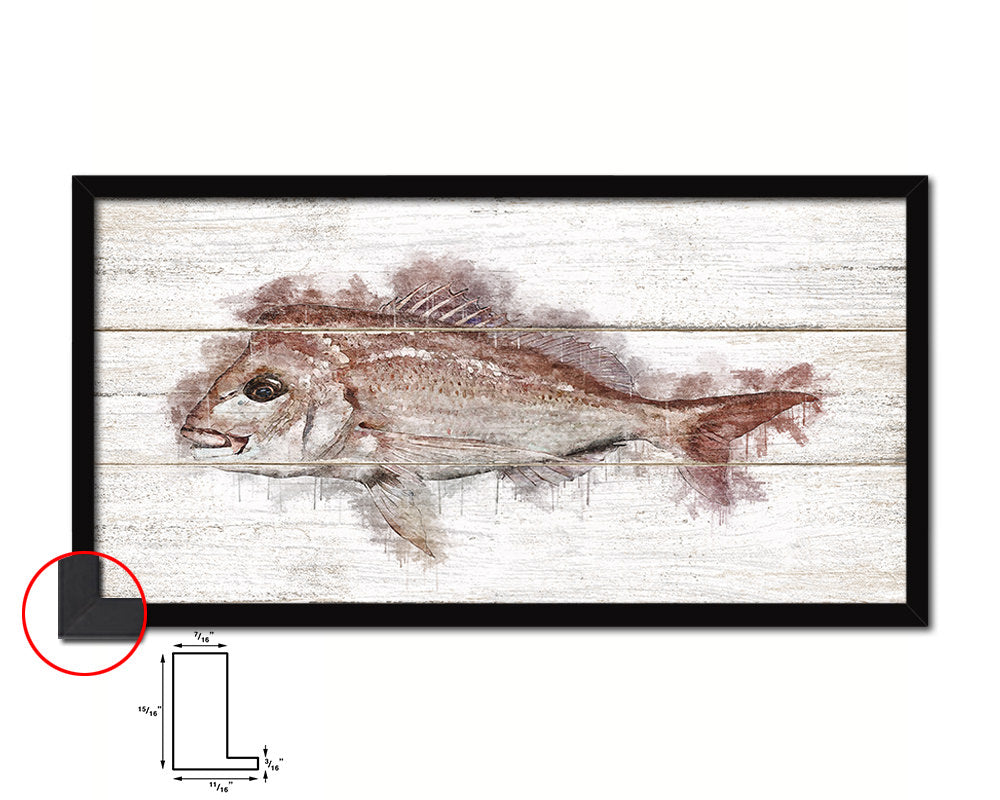Snapper Fish Art Wood Framed White Wash Restaurant Sushi Wall Decor Gifts, 10" x 20"