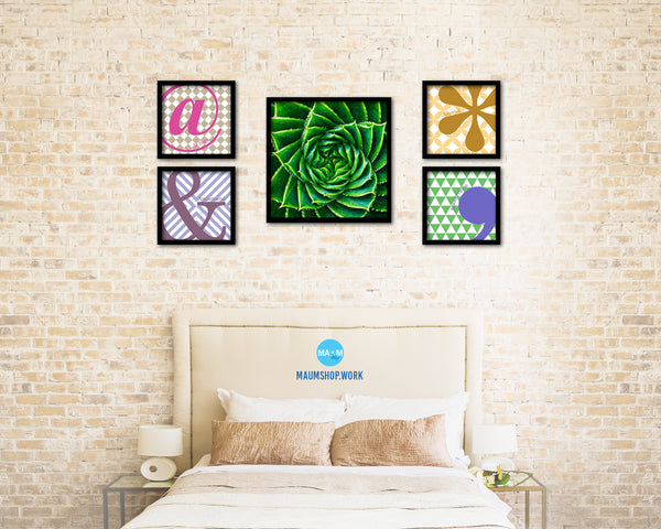 Spiral Leaves Plants Evergreen Succulent Leaves Spiral Plant Wood Framed Print Decor Wall Art Gifts