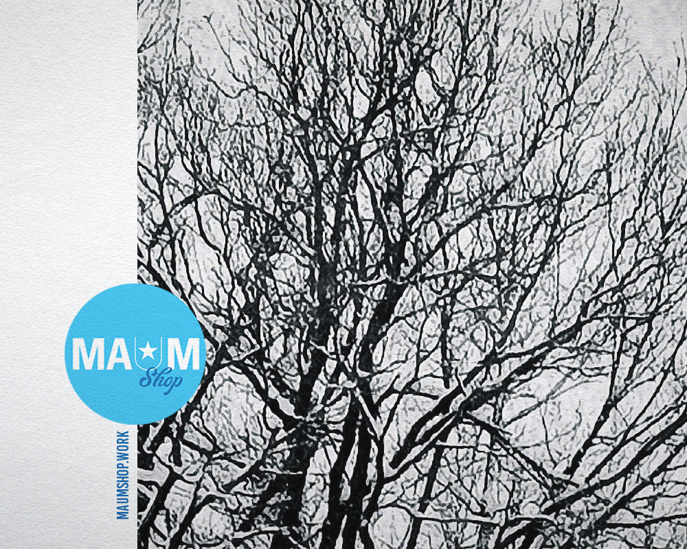 White Trees Winter Landscape Artwork Painting Print Art Frame Home Wall Decor Gifts