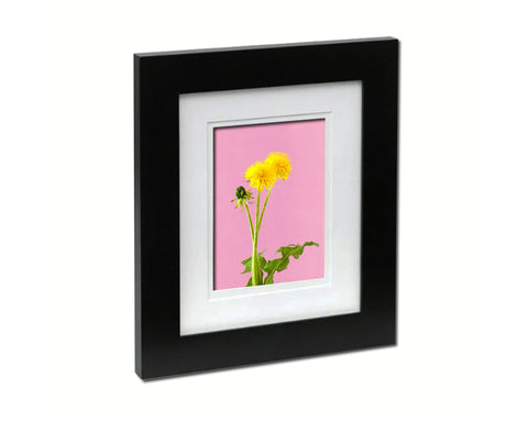 Dandelion Colorful Plants Art Wood Framed Print Wall Decor Gifts