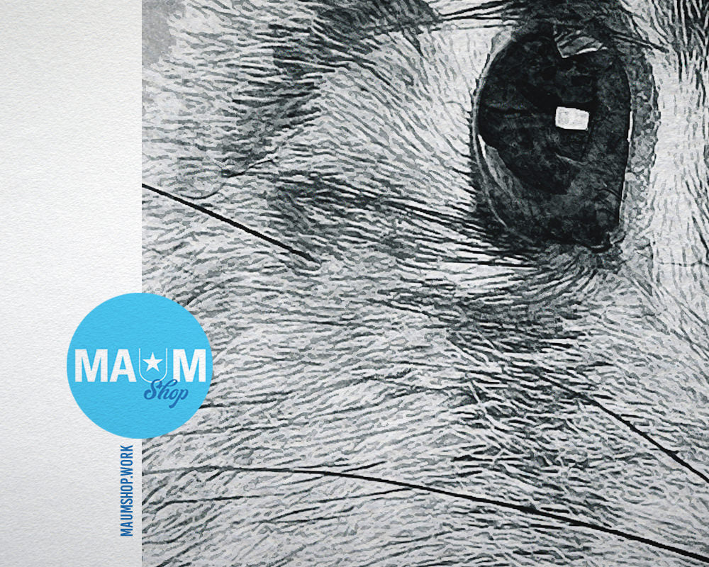 Grey Rabbit Animal Painting Print Framed Art Home Wall Decor Gifts