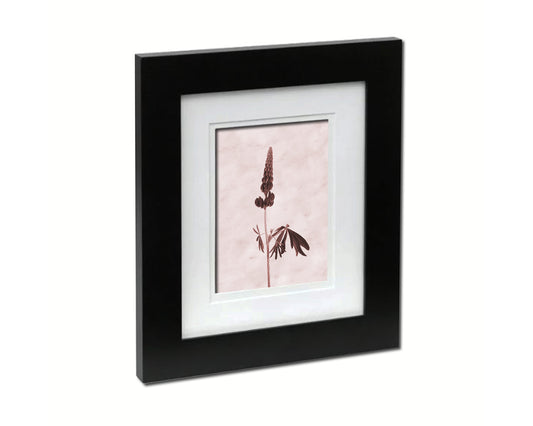 Lupin Sepia Plants Art Wood Framed Print Wall Decor Gifts