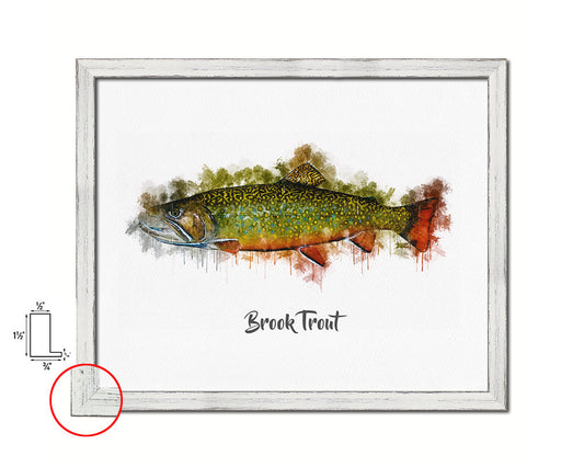 Brook Trout Fish Framed Prints Modern Restaurant Sushi Bar Watercolor Wall Art Decor