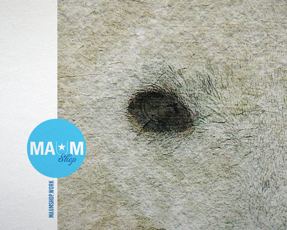 Polar Animal Painting Print Framed Art Home Wall Decor Gifts