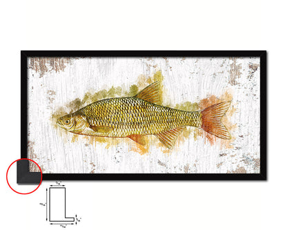 Golden Shiner Fish Art Wood Frame Shabby Chic Restaurant Sushi Wall Decor Gifts, 10" x 20"