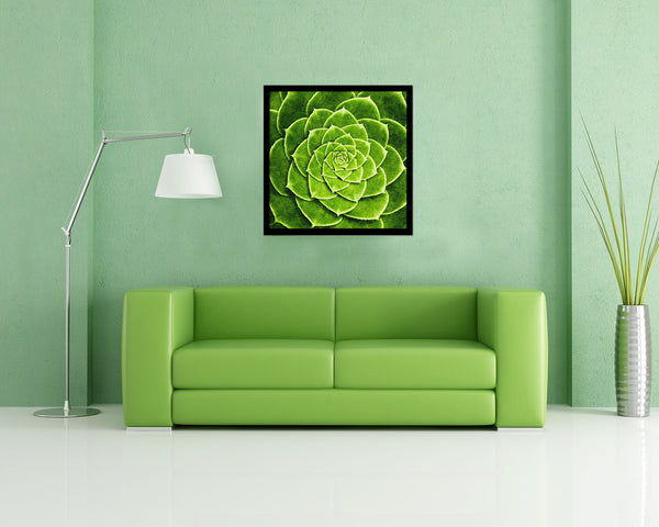 Cactus Plant Succulents Evergreen Leaves Spiral Plant Wood Framed Print Decor Wall Art Gifts