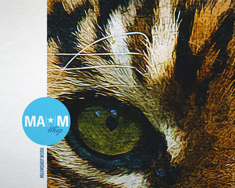 Tiger Animal Painting Print Framed Art Home Wall Decor Gifts