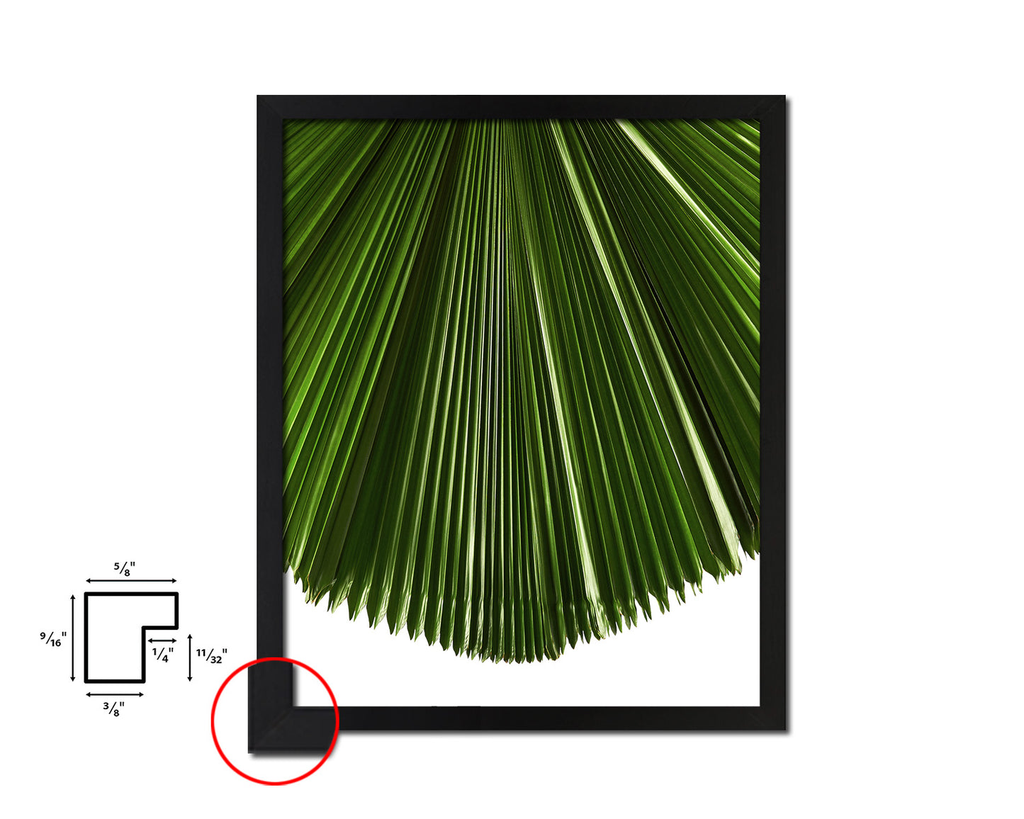 Licuala Grandis, Ruffled Fan Palm Tropical Leaf Framed Print Home Decor Wall Art Gifts