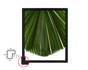 Licuala Grandis, Ruffled Fan Palm Tropical Leaf Framed Print Home Decor Wall Art Gifts