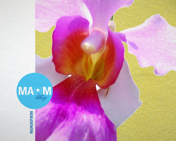 Vanda Miss Joaquim National Orchid Colorful Plants Art Wood Framed Print Wall Decor Gifts