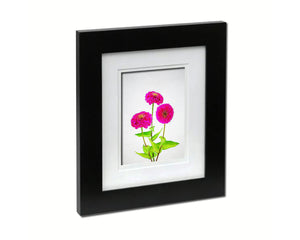 Pink Zinnia Sketch Plants Art Wood Framed Print Wall Decor Gifts