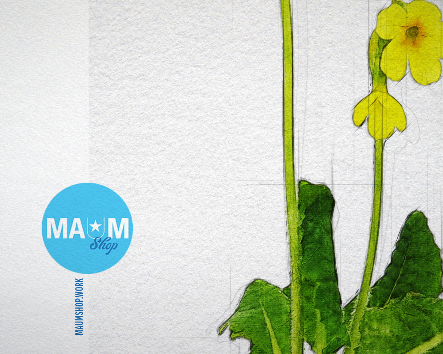 Paigle Primula Sketch Plants Art Wood Framed Print Wall Decor Gifts