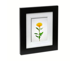 Yellow Chrysanthemum Flower Sketch Plants Art Wood Framed Print Wall Decor Gifts