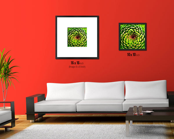Opening Thistle Evergreen Succulent Leaves Spiral Plant Wood Framed Print Decor Wall Art Gifts